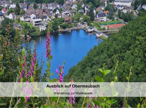 a view of a river with a town in the background at Tobi's Eifelhaus (1-6 Personen) in Kreuzau