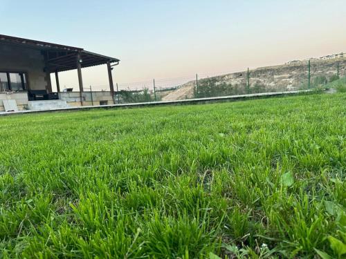 a field of green grass next to a building at Senfoni Cave Village in Nar