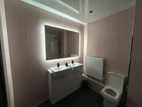 a bathroom with a sink and a toilet and a mirror at The Cleveland Retreat in Boosbeck
