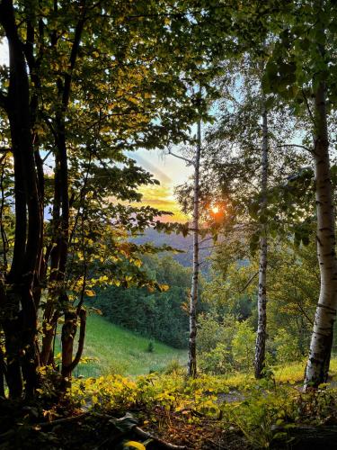 a view of a forest with the sun setting through the trees at Šumski kutak in Rudnik Kačerski