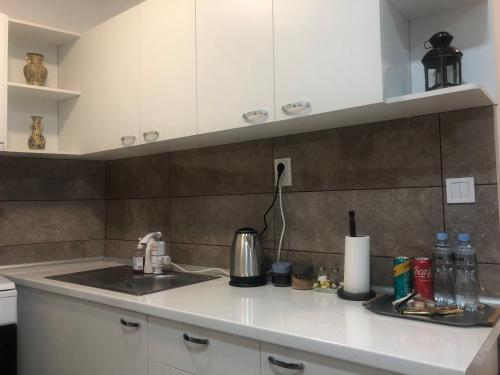 eine Küche mit Spüle und Arbeitsplatte in der Unterkunft Snow white studio in Skopje