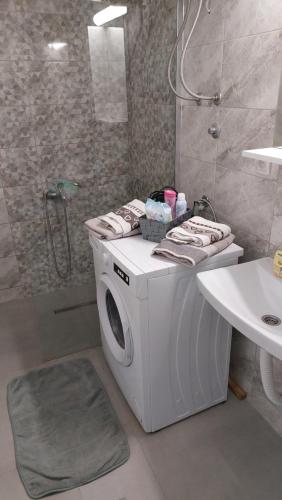 a white washing machine in a bathroom with a shower at Apartman Hram Zvornik in Zvornik