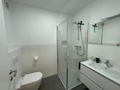 a bathroom with a shower and a toilet and a sink at Appartement Traunsee in Altmünster