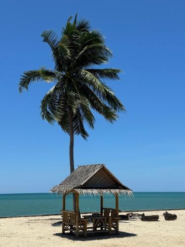 a palm tree on a beach with two chairs and a table at Reboot Retreat Beach Resort, Restaurant, and Coffee Shop in Ban Talat Bang San