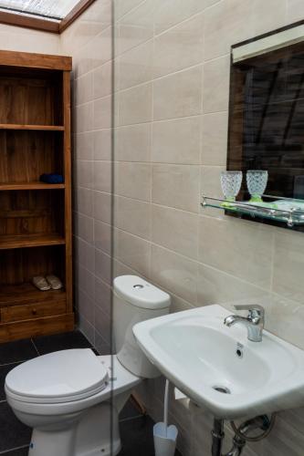 a bathroom with a toilet and a sink at Kabinku Bali in Bedugul