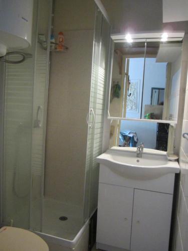 une salle de bain avec douche et lavabo dans l'établissement Appartement rez-de-chaussée, au Barcarès