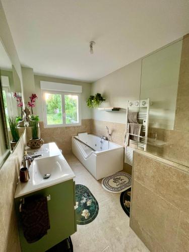 une salle de bain avec une baignoire et un lavabo et une baignoire dans l'établissement La Perle du Bel Etage, à Mailly-sur-Seille