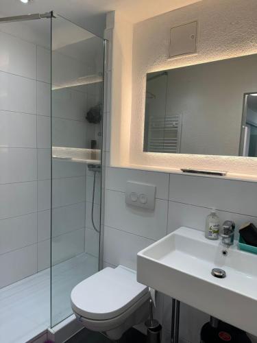 a bathroom with a shower and a toilet and a sink at Ferienwohnung Bingen in Bingen am Rhein