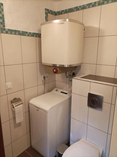 a small bathroom with a white toilet and a tank at Burgberg Schöllnstein in Iggensbach