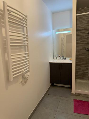 une salle de bain avec un lavabo et un miroir dans l'établissement Splendide appartement type T2, à Villejuif