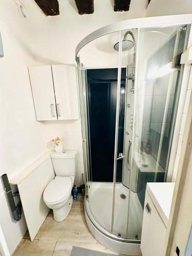 une salle de bain avec toilettes et douche dans l'établissement Dream Dwell Paris - Cozy family studio near Quartier Marais IIIe Paris, à Paris