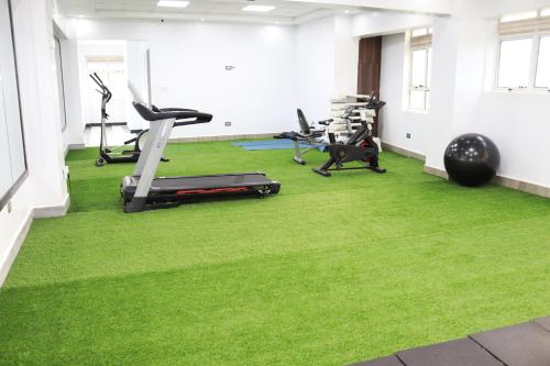 a gym with treadmill and exercise equipment on a green carpet at Dallas Premiere Hotel in Kisii