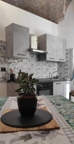 a kitchen with a potted plant on a table at Alloggio al binario 9 e tre quarti in Civitavecchia