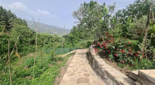 GUEST HOUSE FELAU,Leusë