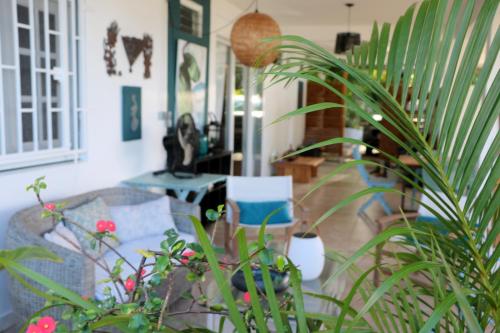 a living room filled with lots of plants at 34 ° soley. in Case-Pilote