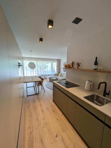 Casa Zundra Alpine Apartment