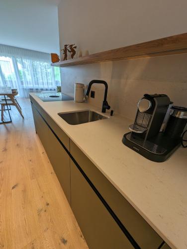 Casa Zundra Alpine Apartment