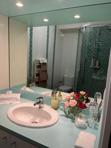 a bathroom with a sink and a large mirror at Grace & Breakfast Monaco in Beausoleil
