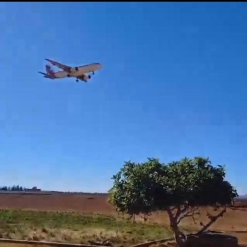 an airplane flying over a tree in a field at Ferme ASBAI RIF LAND in Brâhîmat