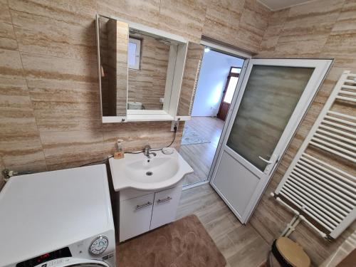 a bathroom with a sink and a mirror and a shower at Casa Toader in Gura Teghii