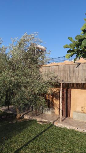 Jnane Basidi, wunderschönes traditionelles Riad mitten auf einer Olivenplantageにある庭