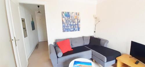 - un salon avec un canapé gris et un oreiller rouge dans l'établissement La bonne location à HOSSEGOR !, à Soorts-Hossegor