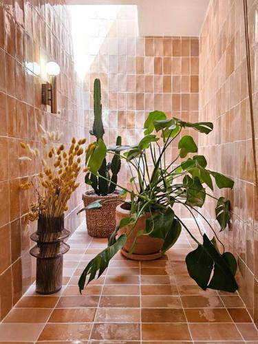 un couloir avec des plantes en pot sur un sol carrelé dans l'établissement Cocon au cœur de Notre Dame, à Marseille