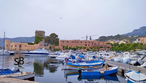 a bunch of boats are docked in a harbor at Casa Nenè in Trabia