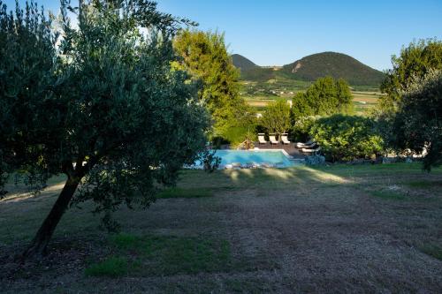 a tree in a field with a swimming pool at Oasi Dolce Vita in Lozzo Atestino
