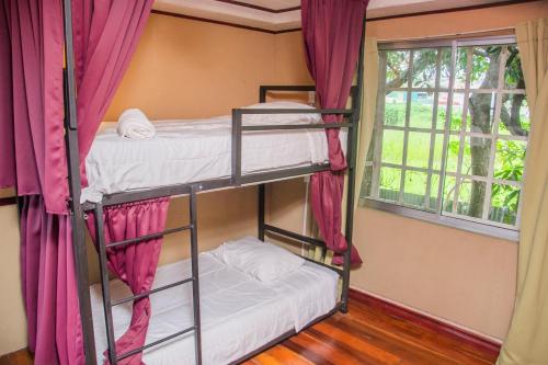two bunk beds in a room with a window at Gardens House, Airport Juan Santamaría, Alajuela, San José in Alajuela City