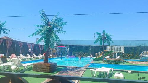 Bazén v ubytování Nlife hostel nebo v jeho okolí