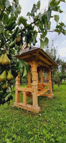 Κήπος έξω από το Casa Meșterului