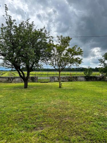 Příroda nedaleko apartmánu