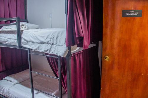 a pair of bunk beds in a room with red curtains at Gardens House, Airport Juan Santamaría, Alajuela, San José in Alajuela City