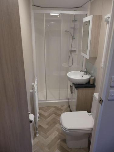 Un baño con ducha, inodoro y lavabo. en Chalet in Makkum - K118, en Makkum