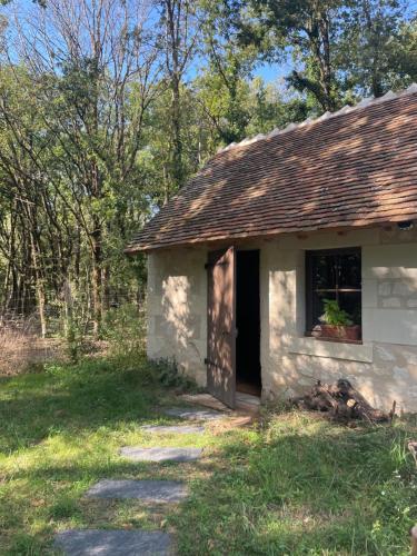 Immersion dans une loge de vigne