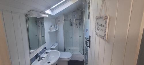 ein Badezimmer mit Waschbecken, Toilette und Dusche in der Unterkunft Pet friendly two bedroom cosy cottage in Tanygrisiau