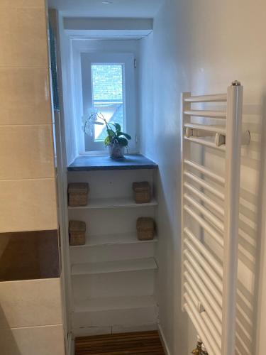 un escalier doté d'une fenêtre et d'une plante. dans l'établissement Saint-Quay Etables-sur-Mer grande Maison à 40m de la plage du Portrieux, à Saint-Quay-Portrieux