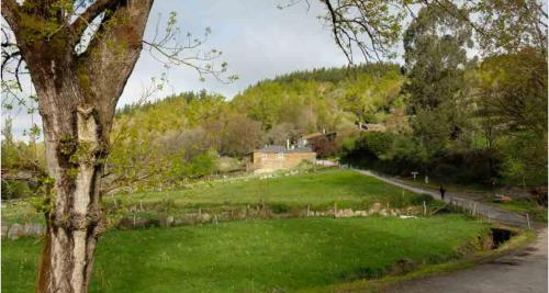 a green field with a house on a hill at Casa da Rasa in Samos
