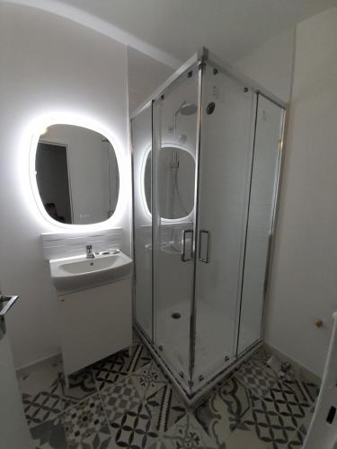 une salle de bain avec douche et lavabo dans l'établissement Parking privé,T1 bis, 10mn Lyon centre, à Villeurbanne