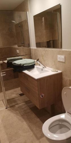 une salle de bain avec toilettes, lavabo et miroir dans l'établissement Gîte L'hirondelle à St Antonin du Var, 2 chambres, à Masseboeuf