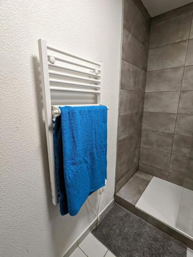 La salle de bains est pourvue d'une douche et d'une serviette bleue. dans l'établissement Grand studio proche de la GARE., à Grenoble