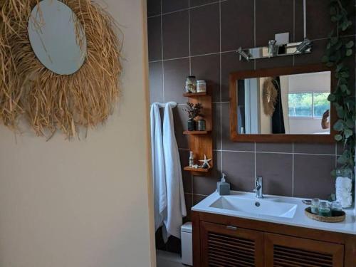 a bathroom with a sink and a mirror at Les Isatis in Montarnaud