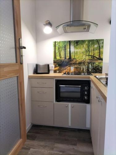 une cuisine avec un évier et un micro-ondes dans l'établissement Logement entier, à Mazières-en-Gâtine