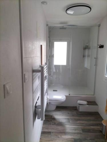 une salle de bain avec toilettes, lavabo et douche dans l'établissement Logement entier, à Mazières-en-Gâtine
