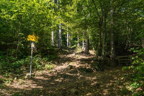 a yellow sign on a trail in the woods at Staymoovers - Gerlitzen & Ossiachersee Panorama, nur 700m zur Kanzelbahn in Annenheim