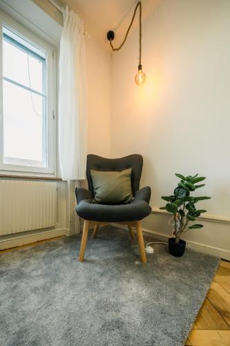 a chair sitting in a room with a plant at City Apartment with Rooftop Terrace in Biel