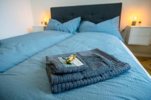 a blue bed with a pile of towels on it at City Apartment with Rooftop Terrace in Biel
