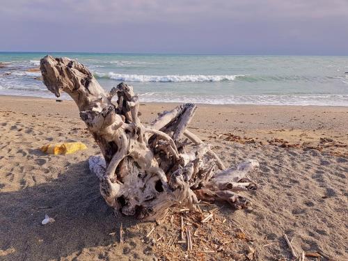 Φυσικό τοπίο κοντά σε αυτή η βίλα