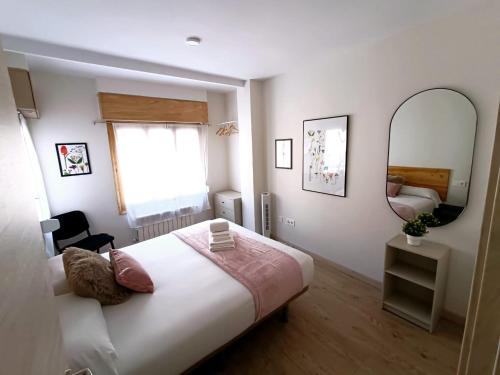 a bedroom with a large bed and a mirror at Feeling Home Lope de Fenar in León